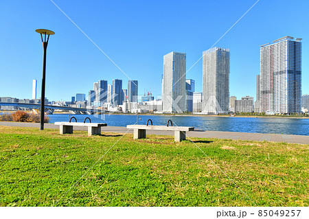 春海橋公園よりトリトンスクエア、晴海臨海公園方面を望む(東京都中央区)【2021.12】 85049257