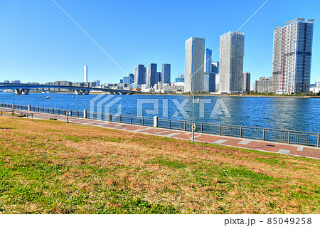 春海橋公園よりトリトンスクエア、晴海臨海公園方面を望む(東京都中央区)【2021.12】 85049258