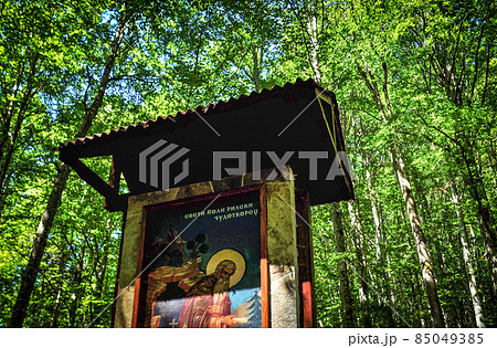 リラ修道院付近の森林（リラ、ブルガリア） 85049385