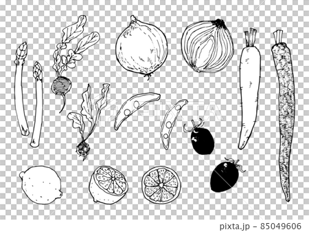Hand-painted parts set of various vegetables with a rough touch like writing with ink with a white background 85049606