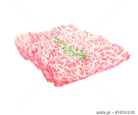 水彩で描いた霜降り牛肉のイラスト 85050130