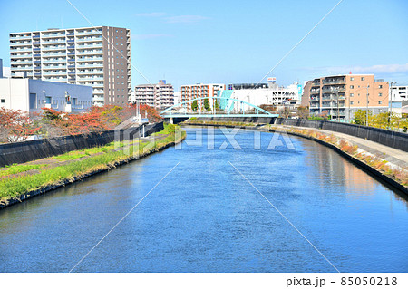 長後さくら橋/新河岸川より上流/平成橋方面を望む(東京都板橋区)【2021.11】 長後さくら橋/新河岸川より上流/平成橋方面を望む(東京都板橋区)【2021.11】 85050218