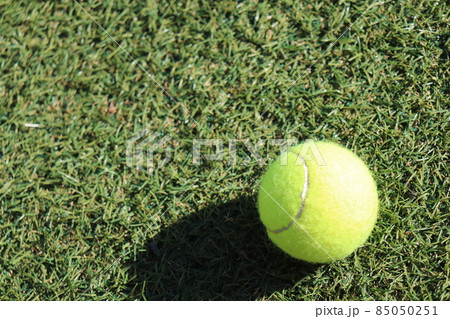 テニスのボール テニスのボール 85050251