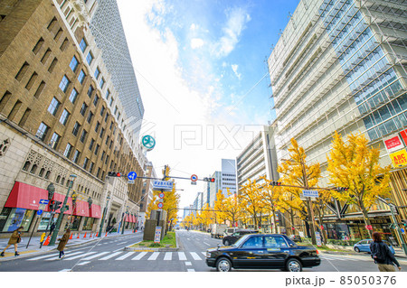 大阪府　秋の御堂筋のイチョウ並木と高級ブティック街 85050376