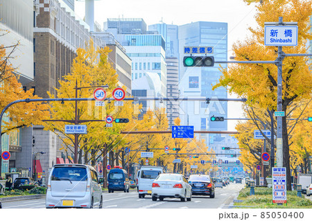 大阪府　秋の御堂筋のイチョウ並木と高級ブティック街 85050400