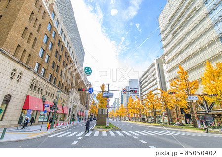 大阪府　秋の御堂筋のイチョウ並木と高級ブティック街 85050402