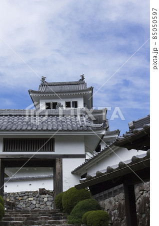 9月の郡上八幡城城門と天守閣 85050597