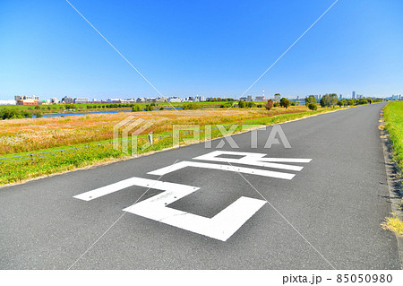 荒川右岸/河口から27km地点より下流方向を望む(東京都板橋区)【2021.11】 荒川右岸/河口から27km地点より下流方向を望む(東京都板橋区)【2021.11】 85050980