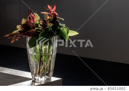 Beautiful bouquet of flowers in a glass vase on a decorative white stone at basin in modern bathroom without people. Bathroom interior. Beautiful bouquet of flowers in a glass vase on a decorative white stone at basin in modern bathroom without people. Bathroom interior. 85051002