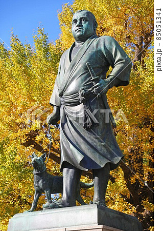 秋の上野恩賜公園　西郷隆盛像 85051341