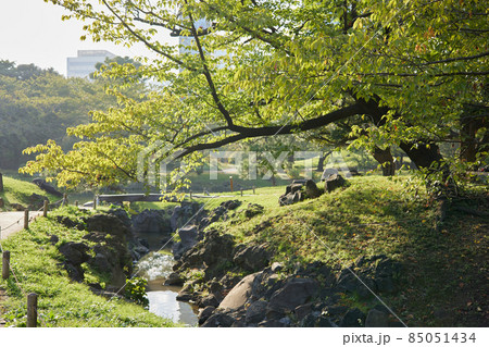 ビル街の中にある日本庭園 ビル街の中にある日本庭園 85051434
