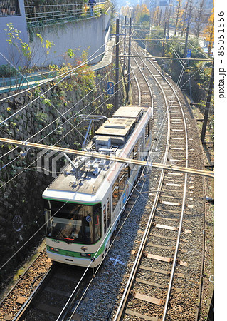 千登世橋(ちとせばし)付近から見た都電荒川線 豊島区目白 千登世橋(ちとせばし)付近から見た都電荒川線 豊島区目白 85051556