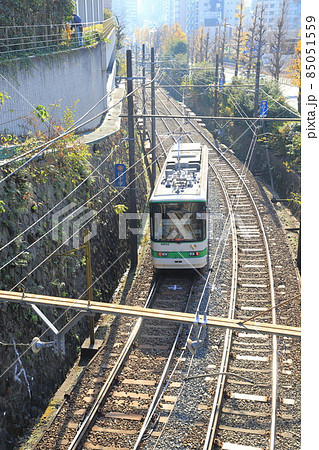 千登世橋(ちとせばし)付近から見た都電荒川線 豊島区目白 千登世橋(ちとせばし)付近から見た都電荒川線 豊島区目白 85051559