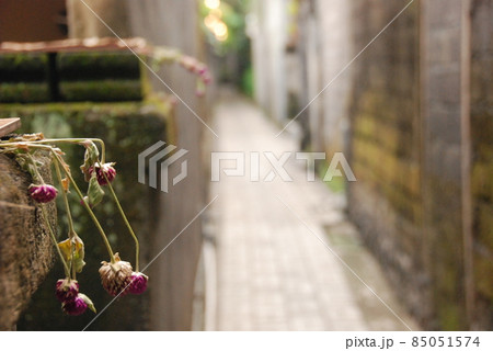 路地裏（ウブド／バリ島･インドネシア） 85051574