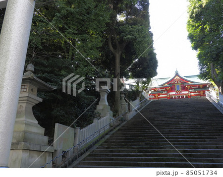 日枝神社　東京都千代田区 85051734