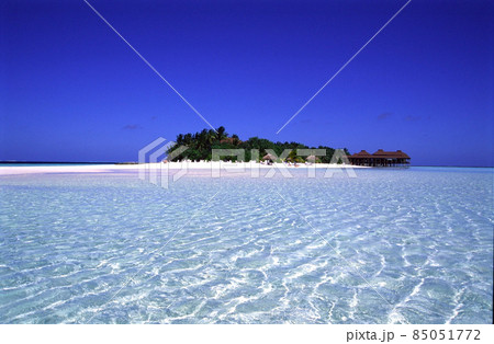 MaldivesRanveliの砂州 MaldivesRanveliの砂州 85051772