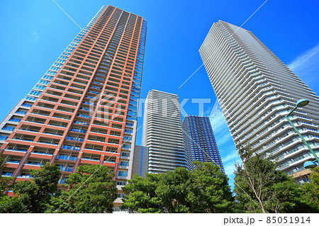 【神奈川県】晴天下の武蔵小杉 高層ビル群 【神奈川県】晴天下の武蔵小杉 高層ビル群 85051914