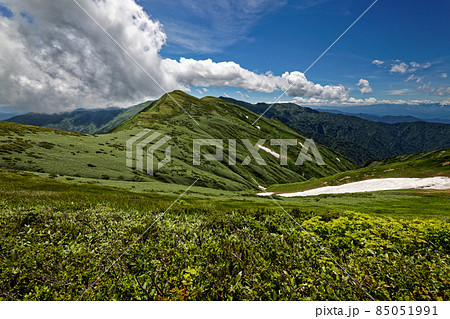 雲湧く夏の朝日連峰・寒河山稜線 85051991