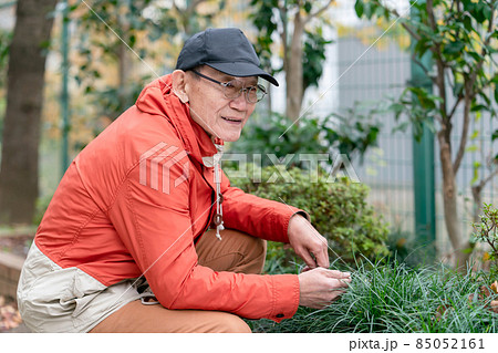 シニア男性 趣味 園芸 シニア男性 趣味 園芸 85052161