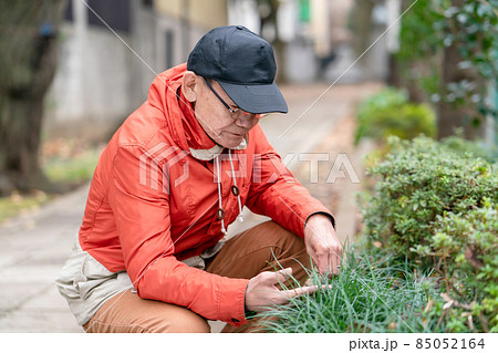 シニア男性 趣味 園芸 シニア男性 趣味 園芸 85052164
