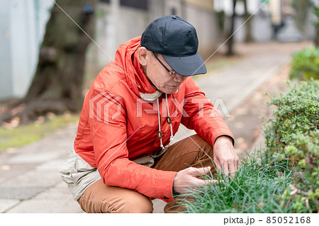 シニア男性　趣味　園芸 85052168