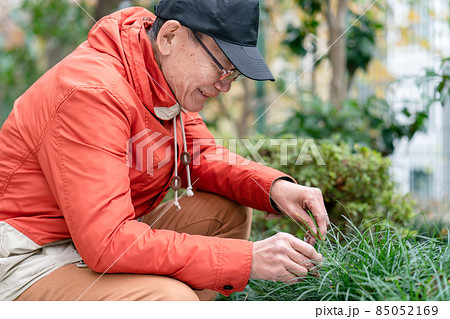 シニア男性 趣味 園芸 シニア男性 趣味 園芸 85052169