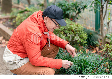 シニア男性　趣味　園芸 85052171