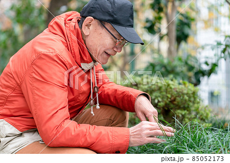 シニア男性　趣味　園芸 85052173