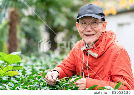 シニア男性　趣味　園芸 85052186