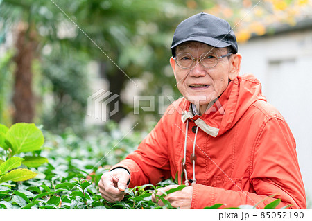 シニア男性　趣味　園芸 85052190