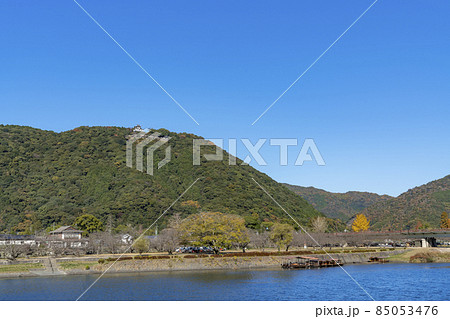 [山口県]晴天の錦帯橋と岩国城 85053476