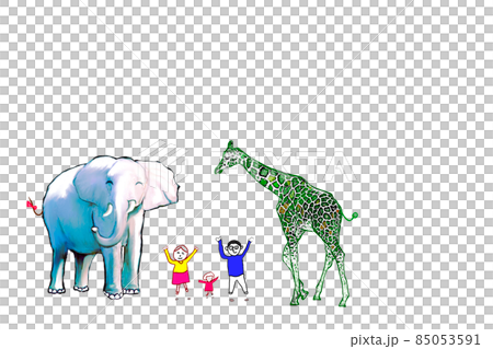 Animal forest 85053591