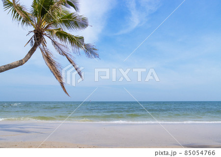 Landscapes View The atmosphere is beautiful coconut tree with Sand and sea Beach of Thailand. 85054766