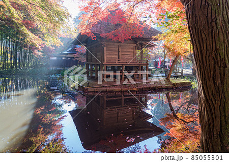 中尊寺　紅葉の弁財天堂（岩手県平泉町） 85055301