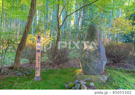 中尊寺　山口青邨句碑（岩手県平泉町） 85055302