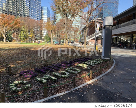 新宿中央公園 85056174