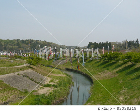 千葉県市原市の北部の瀬又地区で清流の村田川の上にかけられる鯉のぼり 85058219