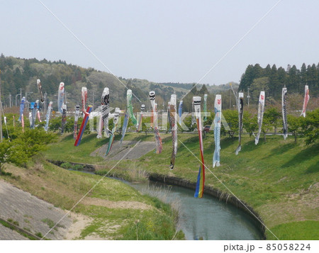 千葉県市原市の北部の瀬又地区で清流の村田川の上にかけられる鯉のぼり 千葉県市原市の北部の瀬又地区で清流の村田川の上にかけられる鯉のぼり 85058224