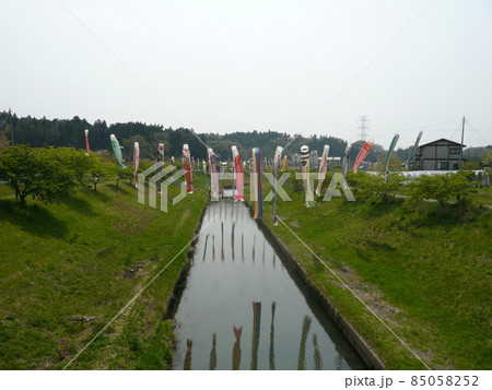 千葉県市原市の北部の瀬又地区で清流の村田川の上にかけられる鯉のぼり 85058252