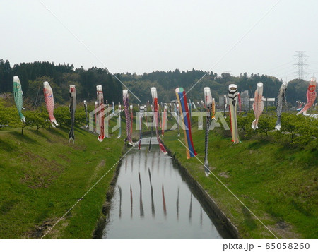 千葉県市原市の北部の瀬又地区で清流の村田川の上にかけられる鯉のぼり 85058260