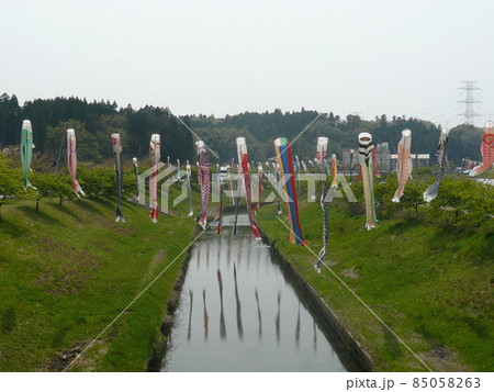 千葉県市原市の北部の瀬又地区で清流の村田川の上にかけられる鯉のぼり 85058263
