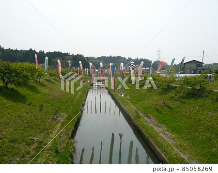 千葉県市原市の北部の瀬又地区で清流の村田川の上にかけられる鯉のぼり 85058269