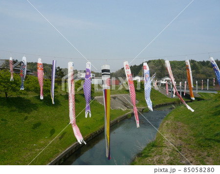 千葉県市原市の北部の瀬又地区で清流の村田川の上にかけられる鯉のぼり 85058280