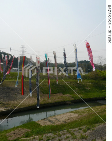 千葉県市原市の北部の瀬又地区で清流の村田川の上にかけられる鯉のぼり 85058298