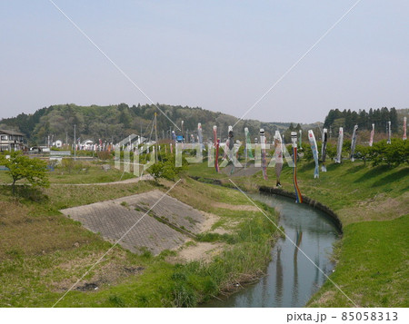 千葉県市原市の北部の瀬又地区で清流の村田川の上にかけられる鯉のぼり 85058313