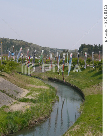 千葉県市原市の北部の瀬又地区で清流の村田川の上にかけられる鯉のぼり 千葉県市原市の北部の瀬又地区で清流の村田川の上にかけられる鯉のぼり 85058315