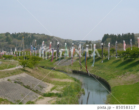 千葉県市原市の北部の瀬又地区で清流の村田川の上にかけられる鯉のぼり 85058317