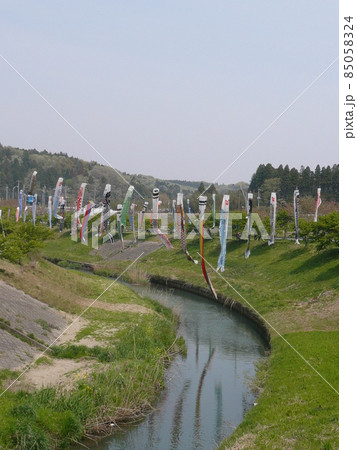 千葉県市原市の北部の瀬又地区で清流の村田川の上にかけられる鯉のぼり 85058324