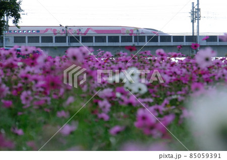 新幹線キティちゃん 85059391