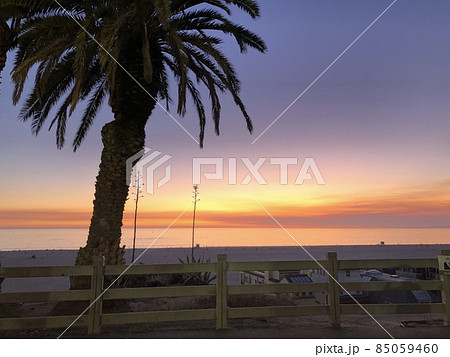 サンタモニカビーチの夕焼けとヤシの木 サンタモニカビーチの夕焼けとヤシの木 85059460